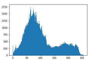 Histogram of Image with all the Merged Channel using OpenCV