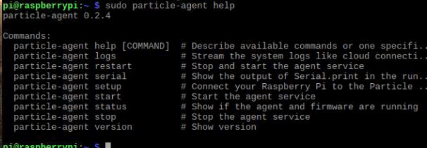 Installed the Particle Agent in Pi