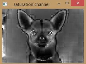 Saturation Channel of Image using OpenCV
