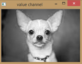 Value Channel of Image using OpenCV