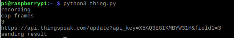 Raspberry Pi's Python Script 