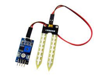 Soil Moisture Sensor