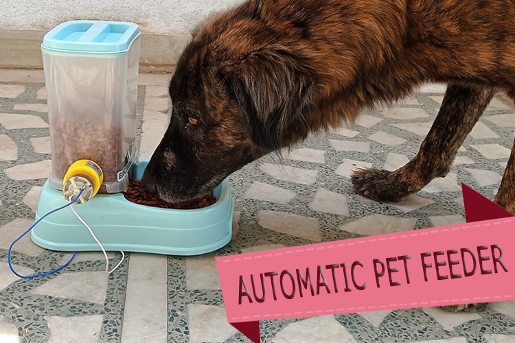 Automatic Pet Feeder using Blynk App