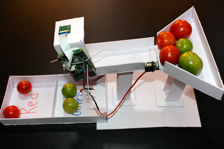 Tomato Sorting Machine using Raspberry Pi