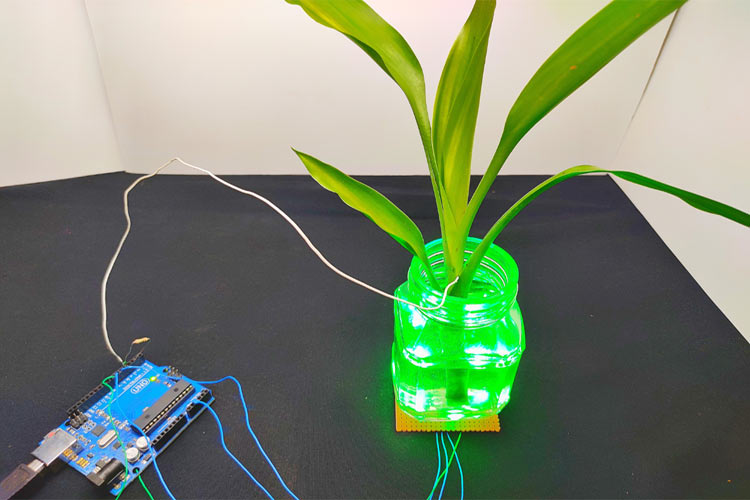 Touch Sensitive Color Changing Plants using Arduino and RGB LEDs